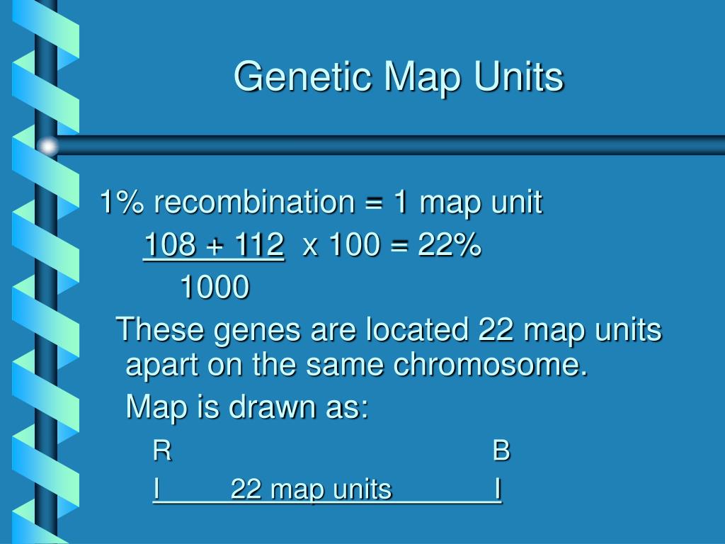 PPT Gene Linkage PowerPoint Free Download ID 152608 Genetic Map Units L 