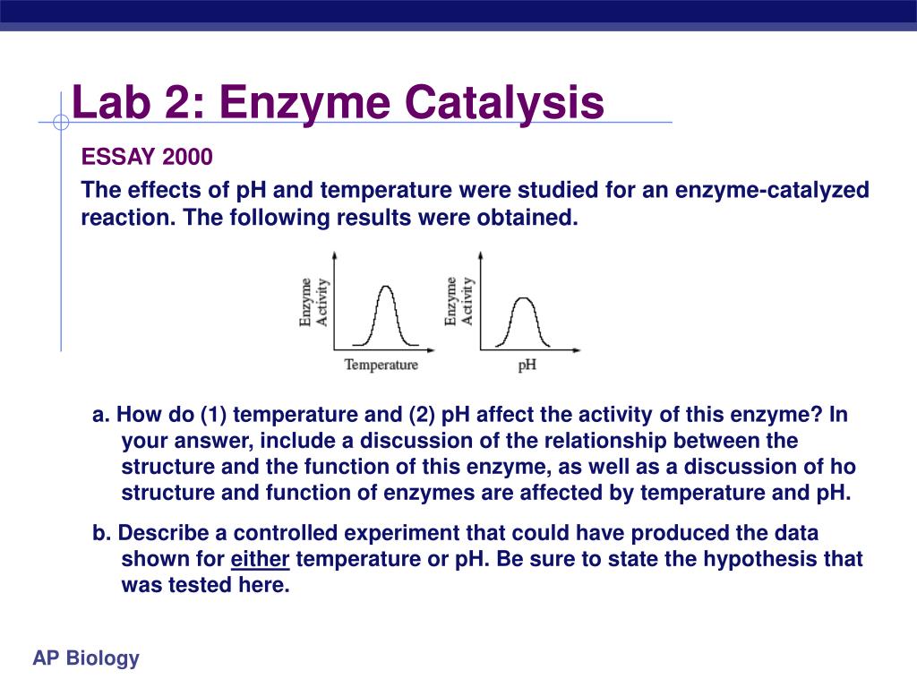 Enzymes Hw Docx Ap Biology 048 Enzymes Video Review Sheet Bozemanscience 048 Enyzmes 1 What Are Enzymes Enzymes Are Chemicals That Are Not Course Hero 