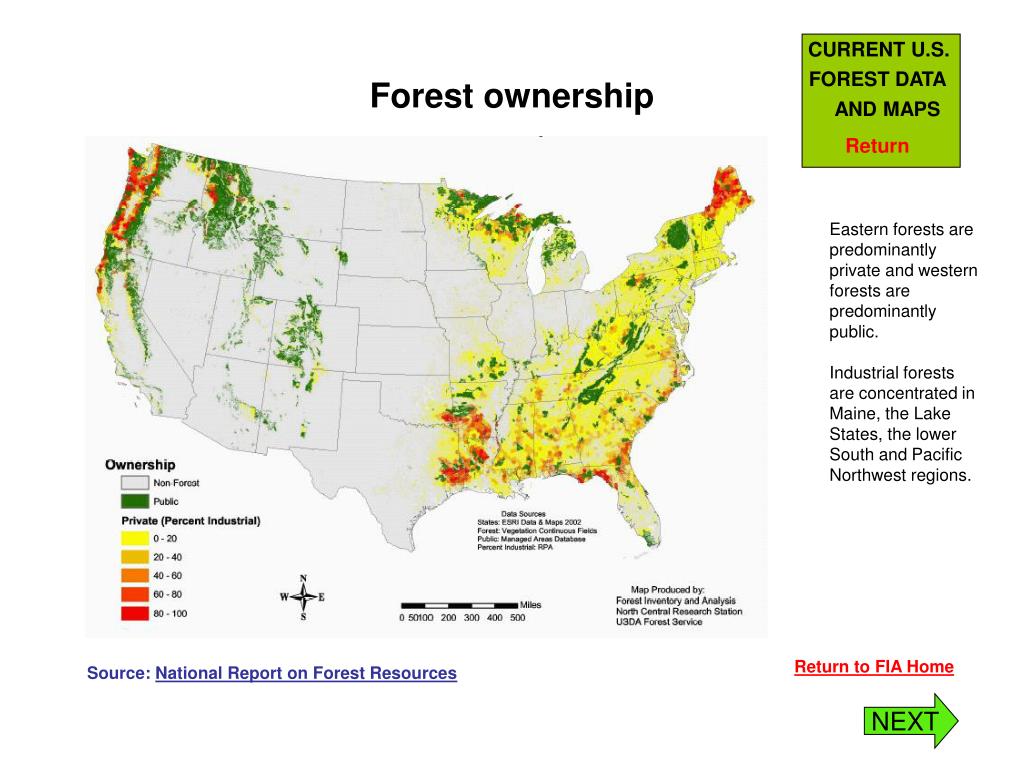 PPT CURRENT U S FOREST DATA AND MAPS PowerPoint Free Forest Ownership L 