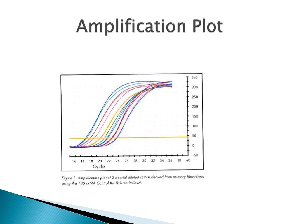 Dna polymerase pcr. Схема амплификации фрагмента днк при пцр. Amplification. Adn реакции. Amplification.