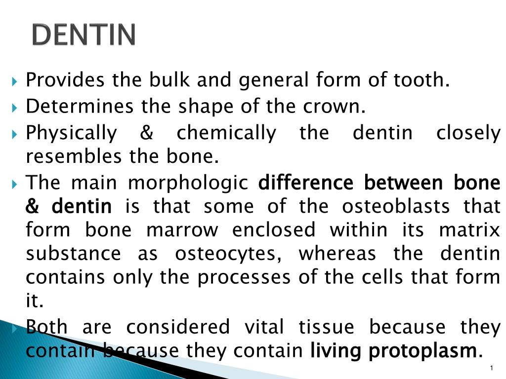 Bonding To Enamel And Dentin Ppt Video Online Download The material was adhesive to both enamel and dentin as well as to carious dentin and showed strong adhesion to all substrates tested.