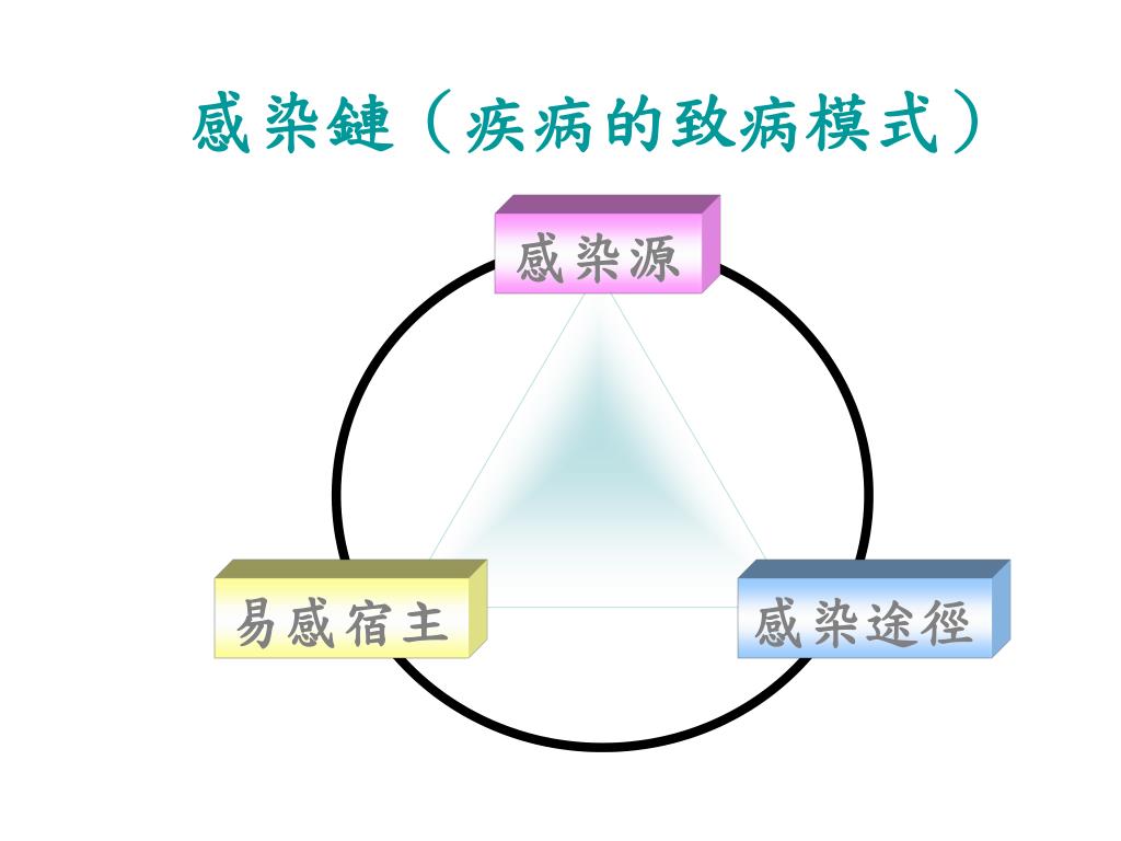 脱口秀 B站年度弹幕出炉 爷青回 有内味了 用英文到底怎么说 B站 阿黛尔 Selena Gomez 网易订阅