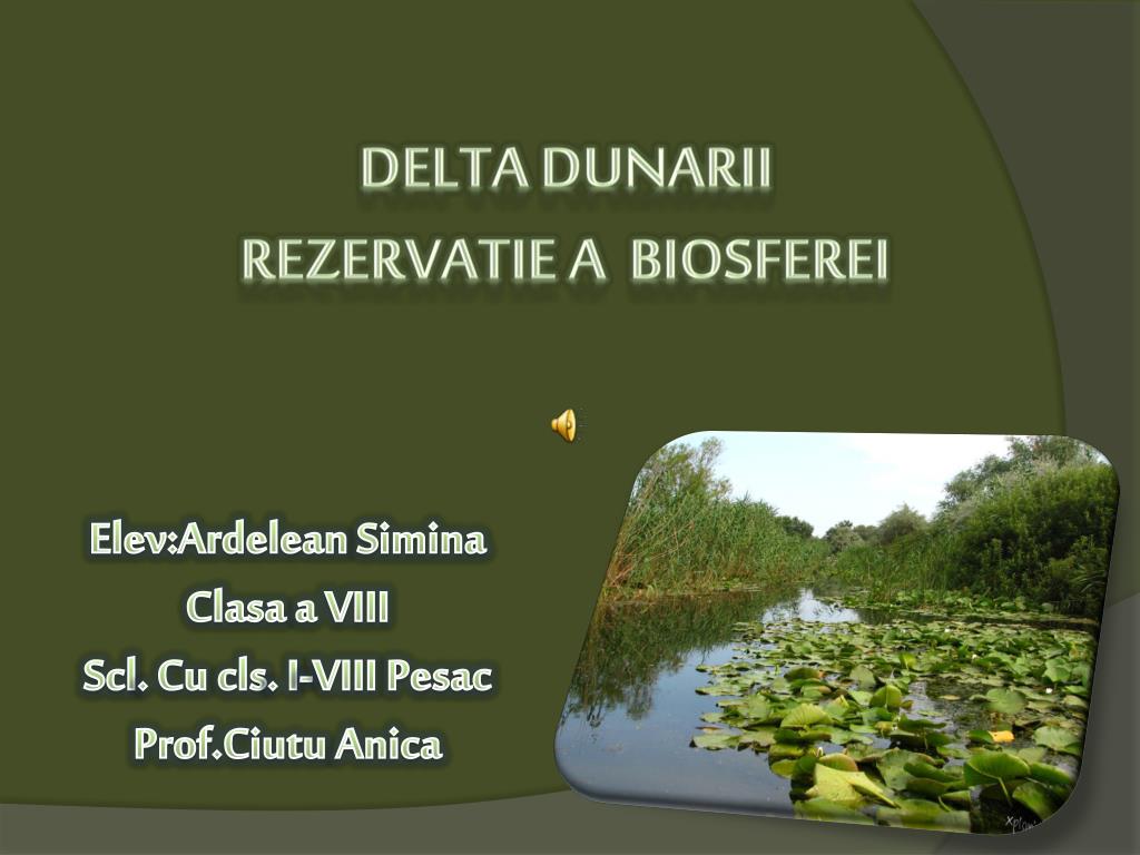 Delta dunării (3446 km²), aflată în mare parte în dobrogea, românia și parțial în ucraina, este a doua ca mărime și cea mai bine conservată dintre deltele europene. Ppt Delta Dunarii Rezervatie A Biosferei Powerpoint Presentation Free Download Id 930187