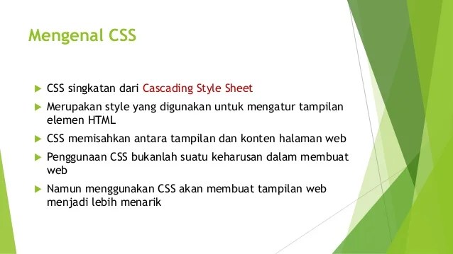05 css