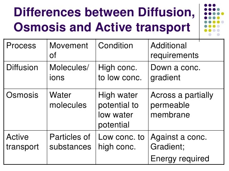 Chapter 3 Movement of Substances Lesson 3 - Active ...