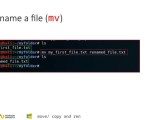 Linux Command Line Tutorial For Beginners Pptx