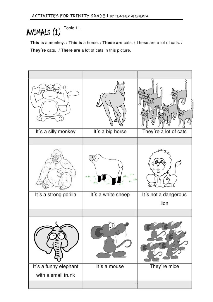 activities for trinity grade 1 no 2