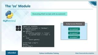 Python Tutorial Python Advanced Os Module Usage How To Use - Beautiful Nature Design - Desktop