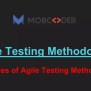 Agile Testing Methodology- Principles Of Agile Testing Methodolgy | PPT