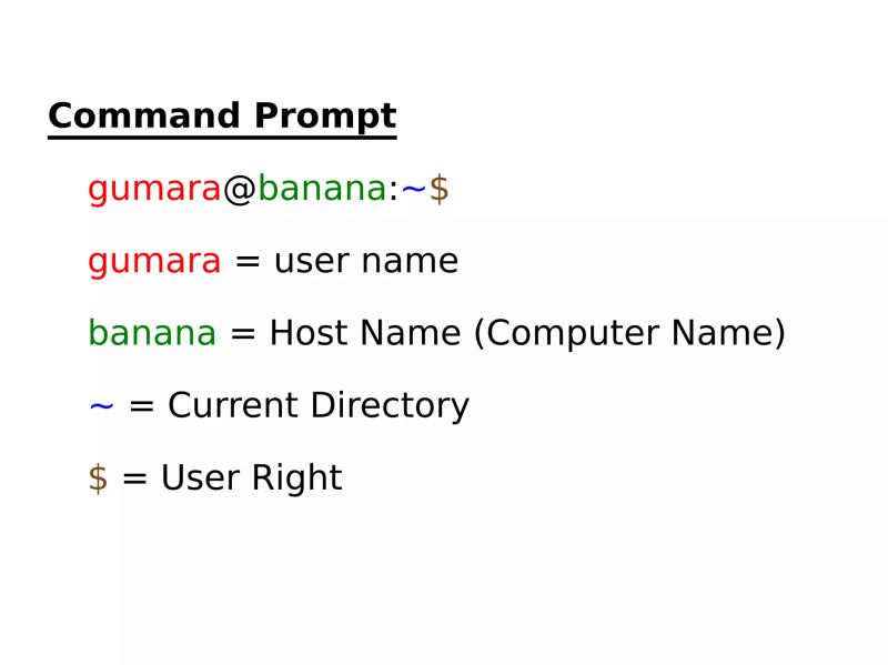 Basic Command - Best Sunset Patterns in Desktop