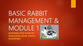 Basic Rabbit Training Module 1 Pptx - Best Sunset Illustrations in Full HD