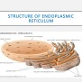 Cell Introduction, Definition , Structure And Function , Slide Share .pptx