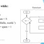 Ch2 Python Flow Control.pdf