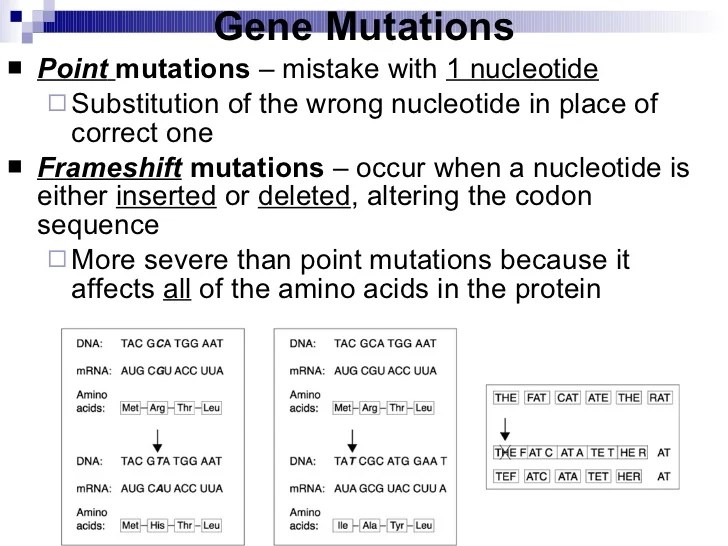  Phscscience Weebly Uploads 5 8 8 9 5889937 Chapter 12 Quick Checks Key Pdf At the same time its important to note that some answering products and services go beyond the.