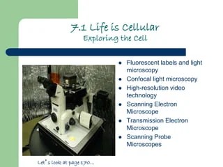 Structures of dpn and ppt. Chapter 7 Cells Power Point Student Version
