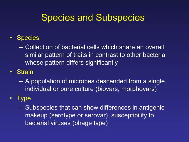 Classification Structure Function Ppt - 4K Abstract Wallpapers for Desktop