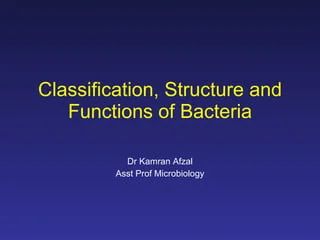 Bacterial Classification Structure And Function Lecture Notes - Premium Space Texture Gallery - Desktop