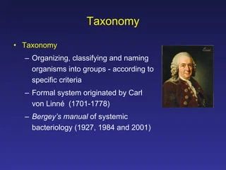 Classification Structure Function Ppt - Premium Vintage Texture Gallery - Desktop