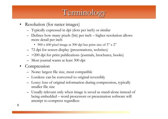 Computer Graphics Brief Tutorial Pdf - Ultra HD Mountain Arts for Desktop