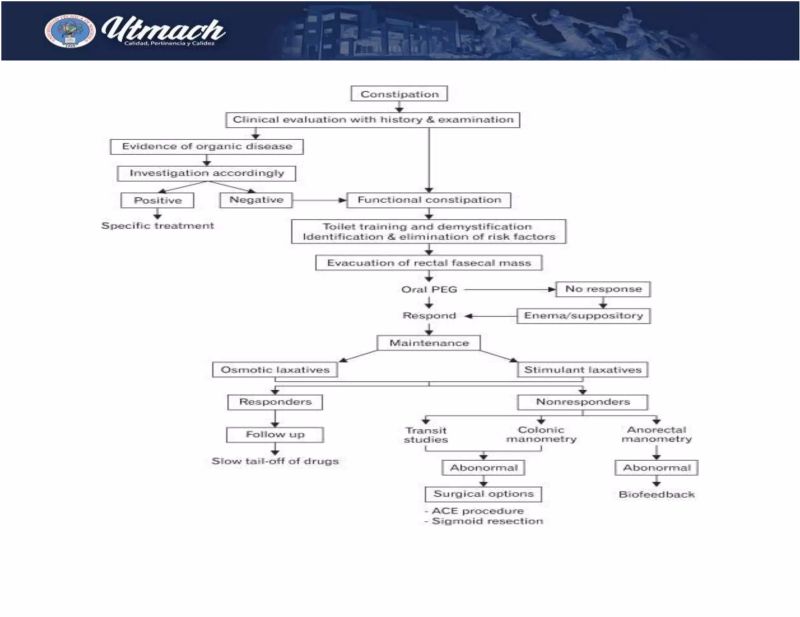 Constipation Algorithm Docx - Best City Patterns in HD
