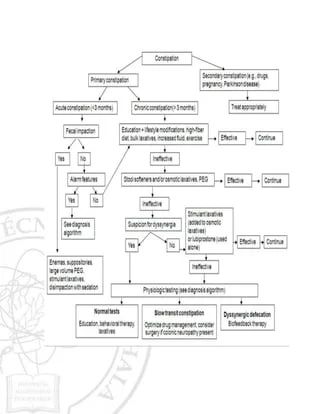 Constipation Algorithm Docx - Creative Minimal Picture - High Resolution