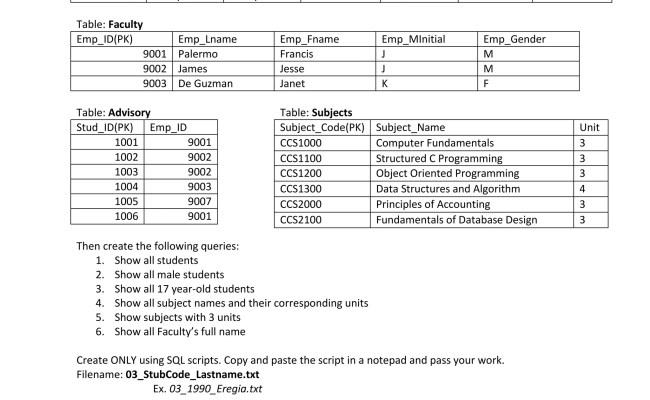 Database Using Oracle 10g | DOCX
