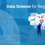 Data Science For Beginners | Who Is A Data Scientist? | Data Science ...