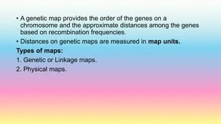 Dna Mapping PPTX Dna Mapping 4 320 