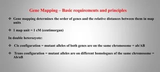 Gene Mapping PPTX Gene Mapping 2 320 