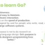 Golang (Go Programming Language) | PPTX