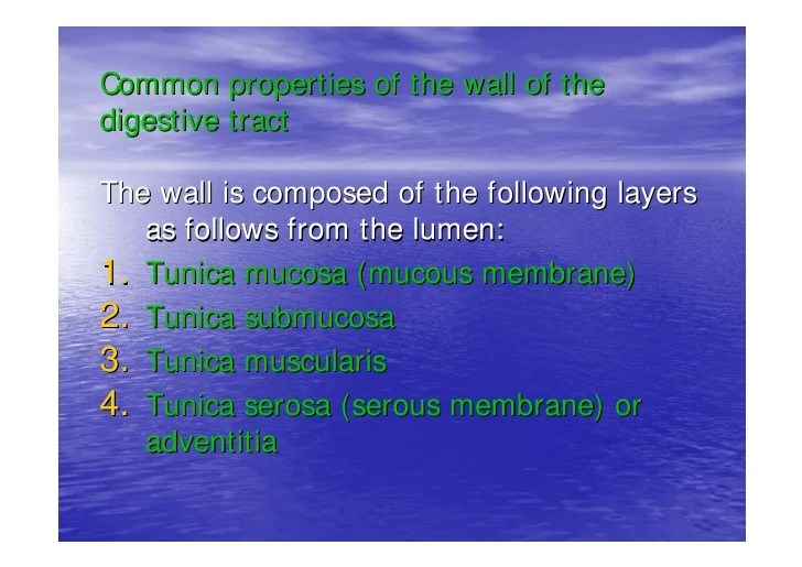 The digestive system includes the digestive tract and its accessory organs, which process food into molecules that can be absorbed and utilized by the cells of the body. Histology Of The Digestive System Part1