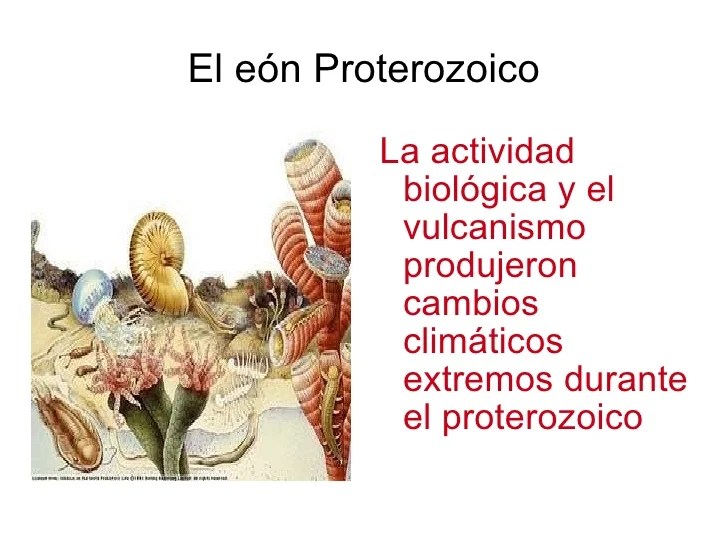 Resultado de imagen para Eon proterozoico