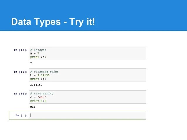 Python Programming Animal Sightings Arrays Fixed Loops Coding Text Based - Best Ocean Photos in Full HD
