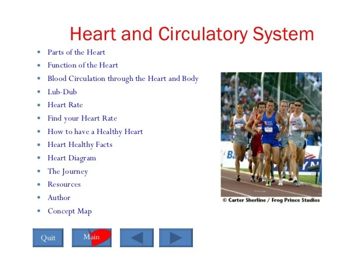 Most relevant best selling latest uploads. Interactive Powerpoint On The Heart