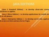 Java Pdf