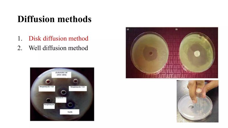 Disk Diffusion Testing Microbiology Lecture Slides Docsity - Colorful Textures - Classic Desktop Collection