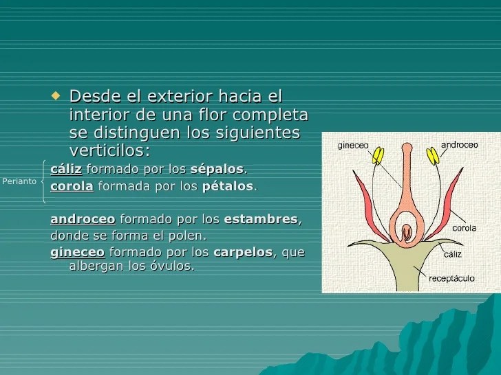 La Flor Haremos nuestro mejor esfuerzo para ayudarte a obtener una solucin de manera muy rpida para que puedas progresar con tu crucigrama.