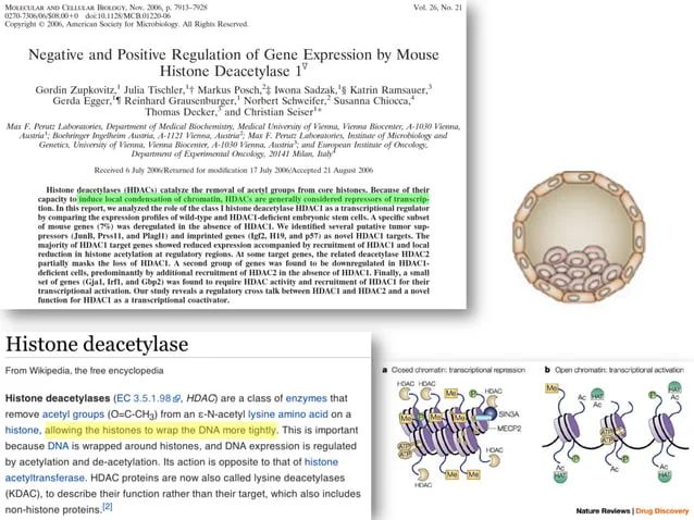 Simple Microarray Analysis Using R Pdf - Best Abstract Patterns in Retina