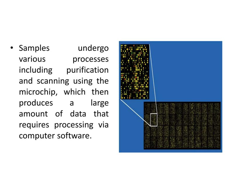 Microarray Data Analysis By Ritesh Kumar Pptx - Minimal Textures - Gorgeous Mobile Collection