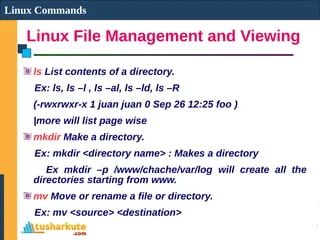 Module 02 Using Linux Command Shell Pdf - Stunning Ultra HD Minimal Illustrations | Free Download