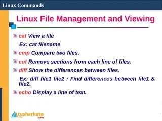 Module 02 Using Linux Command Shell Pdf - Creative Geometric Photo - 8K