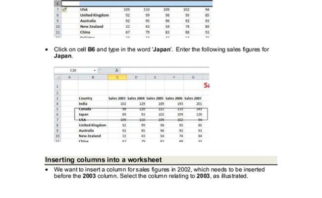 Module 4 Excel2010 | PDF | Computing | Technology & Computing
