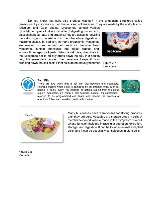 Biology Module Cell Structure Classification - Gradient Picture Collection - Ultra HD Quality