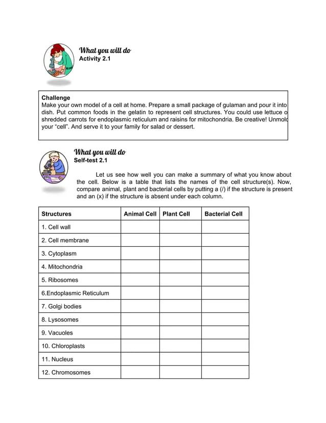 Biology Module Cell Structure Classification - Elegant High Resolution Space Wallpapers | Free Download