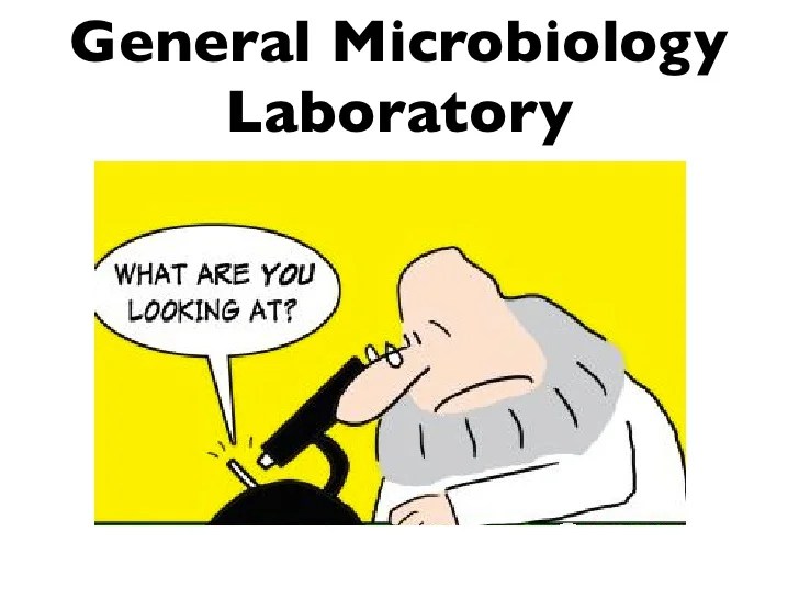 photo Lab Microbiology Cartoon class policies and lab safety procedures
