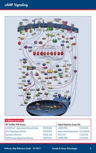 Pathway Map Reference Guide PDF Pathway Map Reference Guide 5 320 