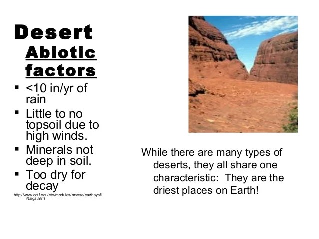 ️ abiotic components of desert ecosystem. what are abiotic factors of a desert ecosystem?. 2019