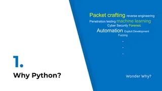 The Offensive Python Practical Python For Penetration Testing Ppt - Premium Sunset Background Gallery - Mobile