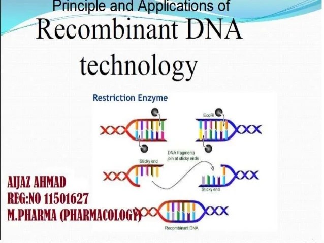 wallpapers Applications Of Recombinant Dna Technology In Medicine principle and applications of