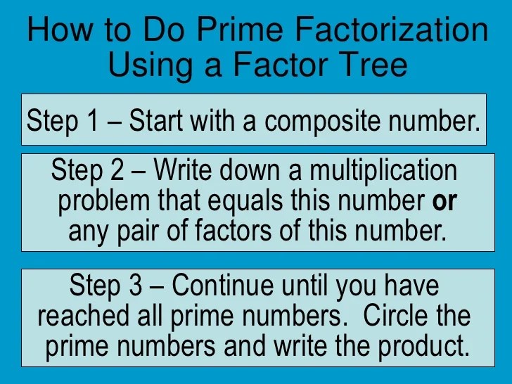 1458 divided by 2, 3, 3, 3, 3, 3, 3, gives no remainder. Prime Factorization